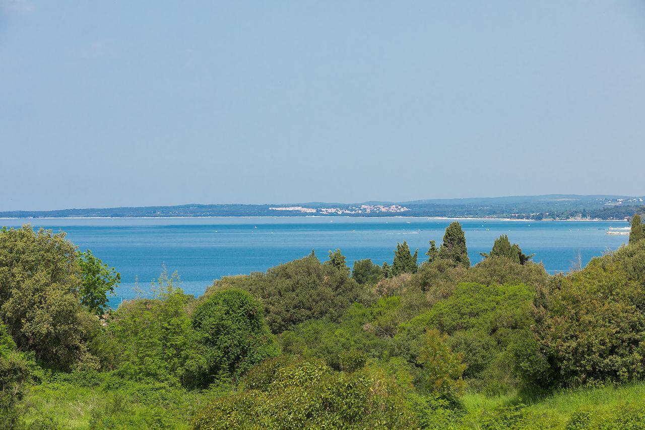 Astinian Jadranka Pula